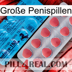 Große Penispillen new14